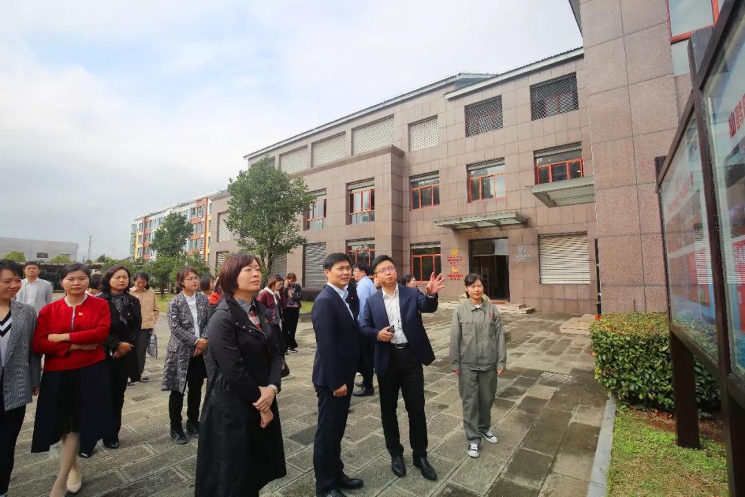 波胆app官方网站