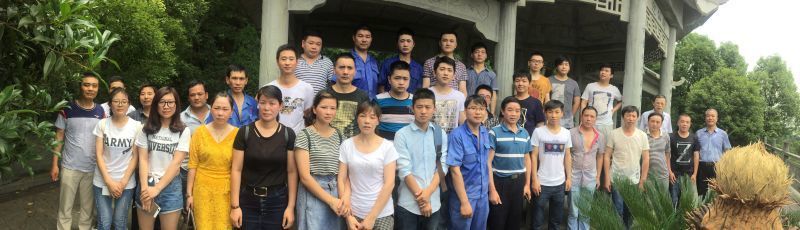 波胆app官方网站