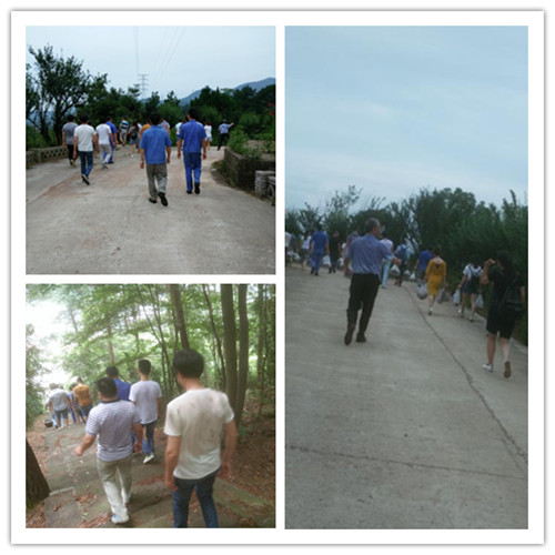 波胆app官方网站