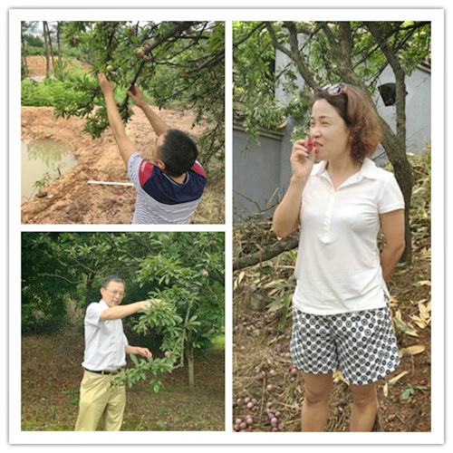 波胆app官方网站