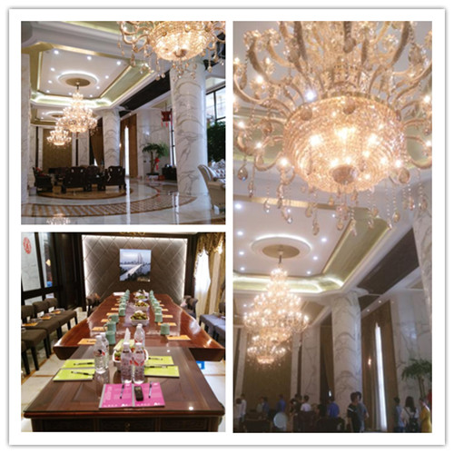 波胆app官方网站