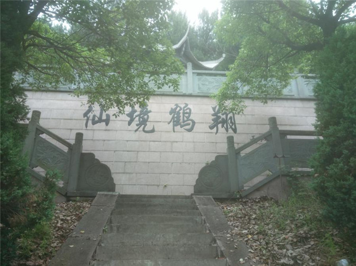 波胆app官方网站