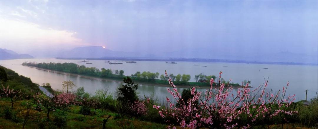 波胆app官方网站