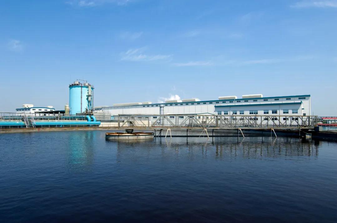 波胆app官方网站