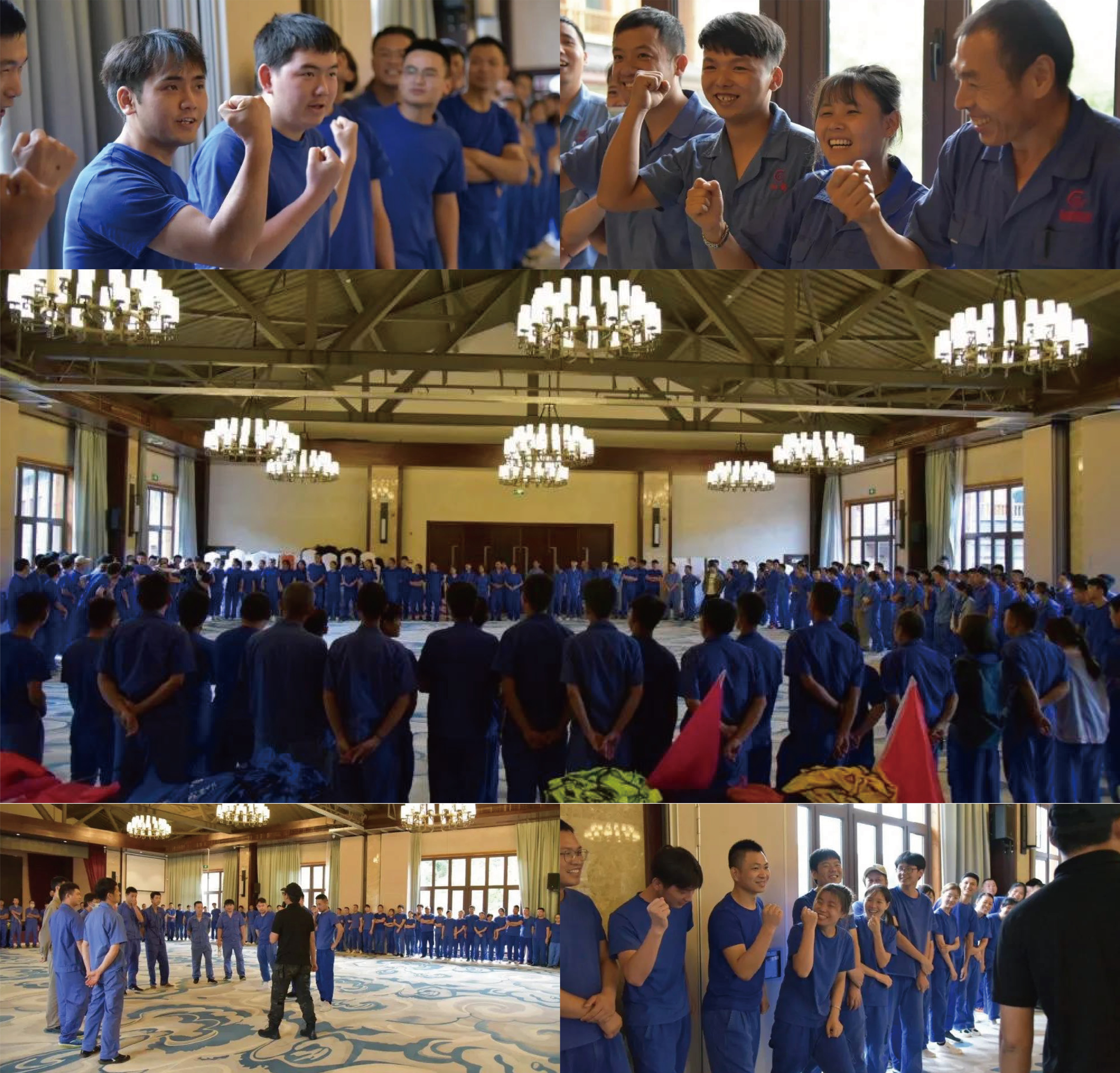 波胆app官方网站