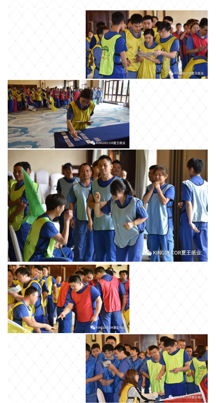 波胆app官方网站