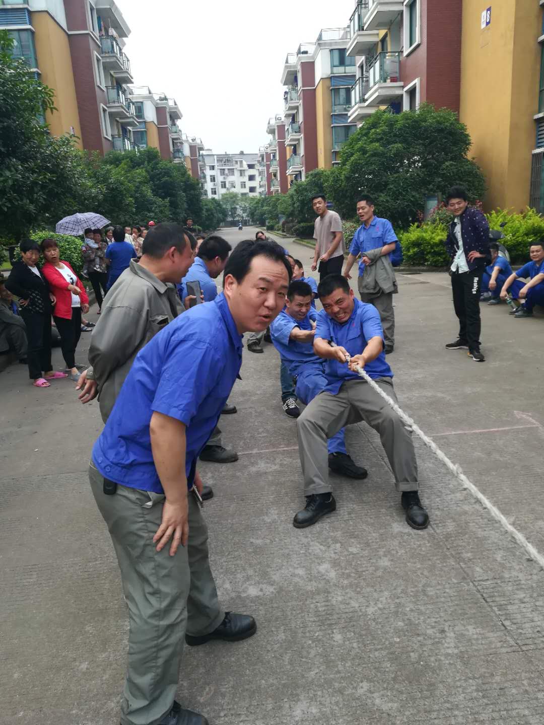 波胆app官方网站