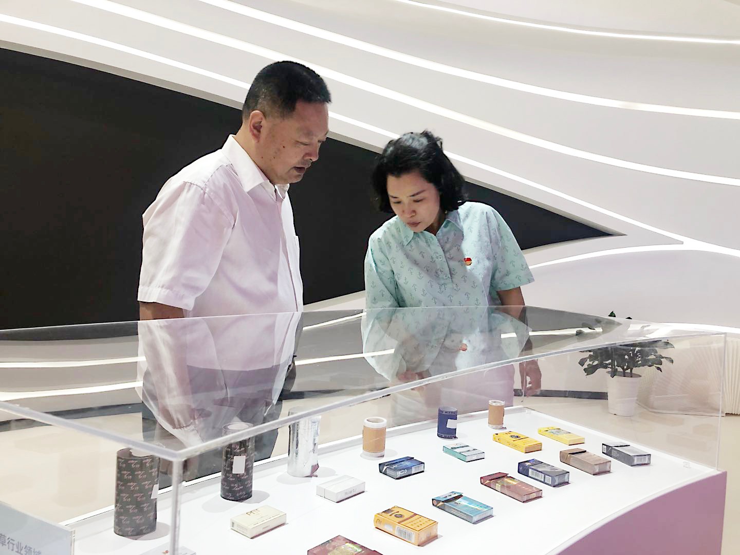 波胆app官方网站