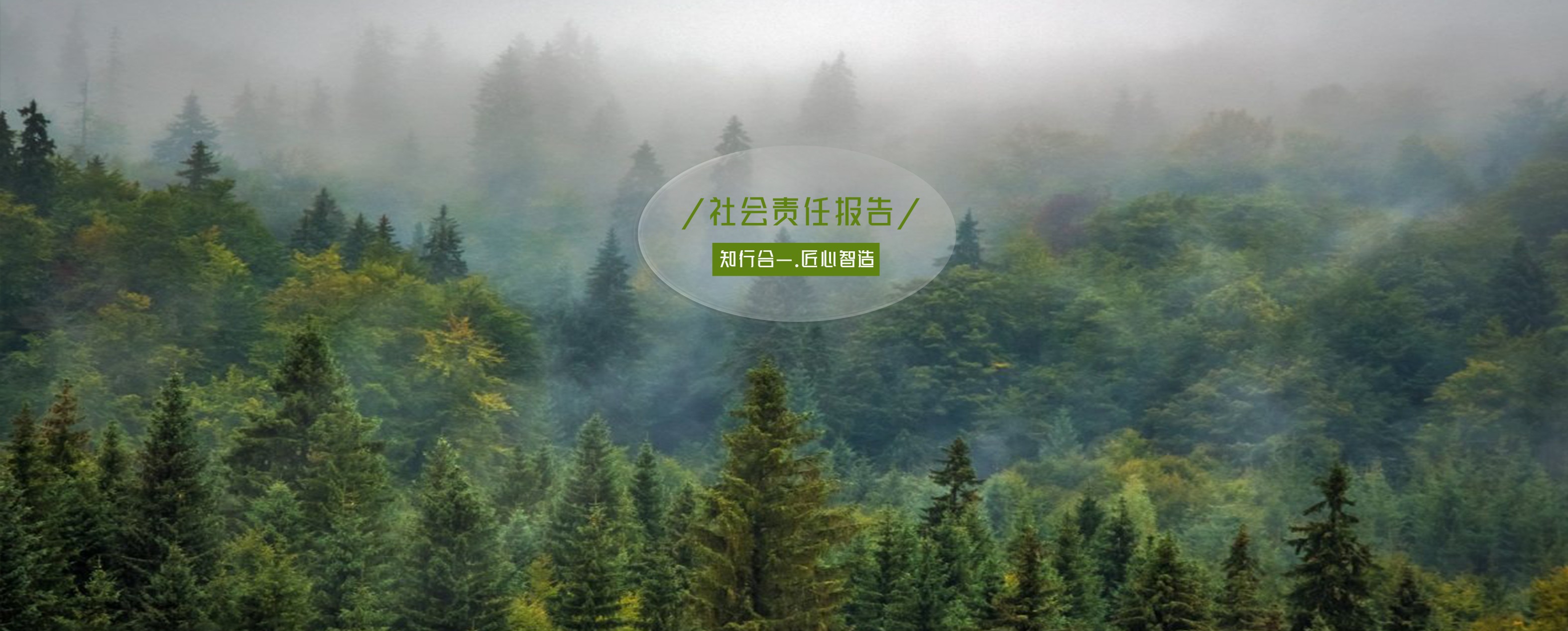 波胆app官方网站