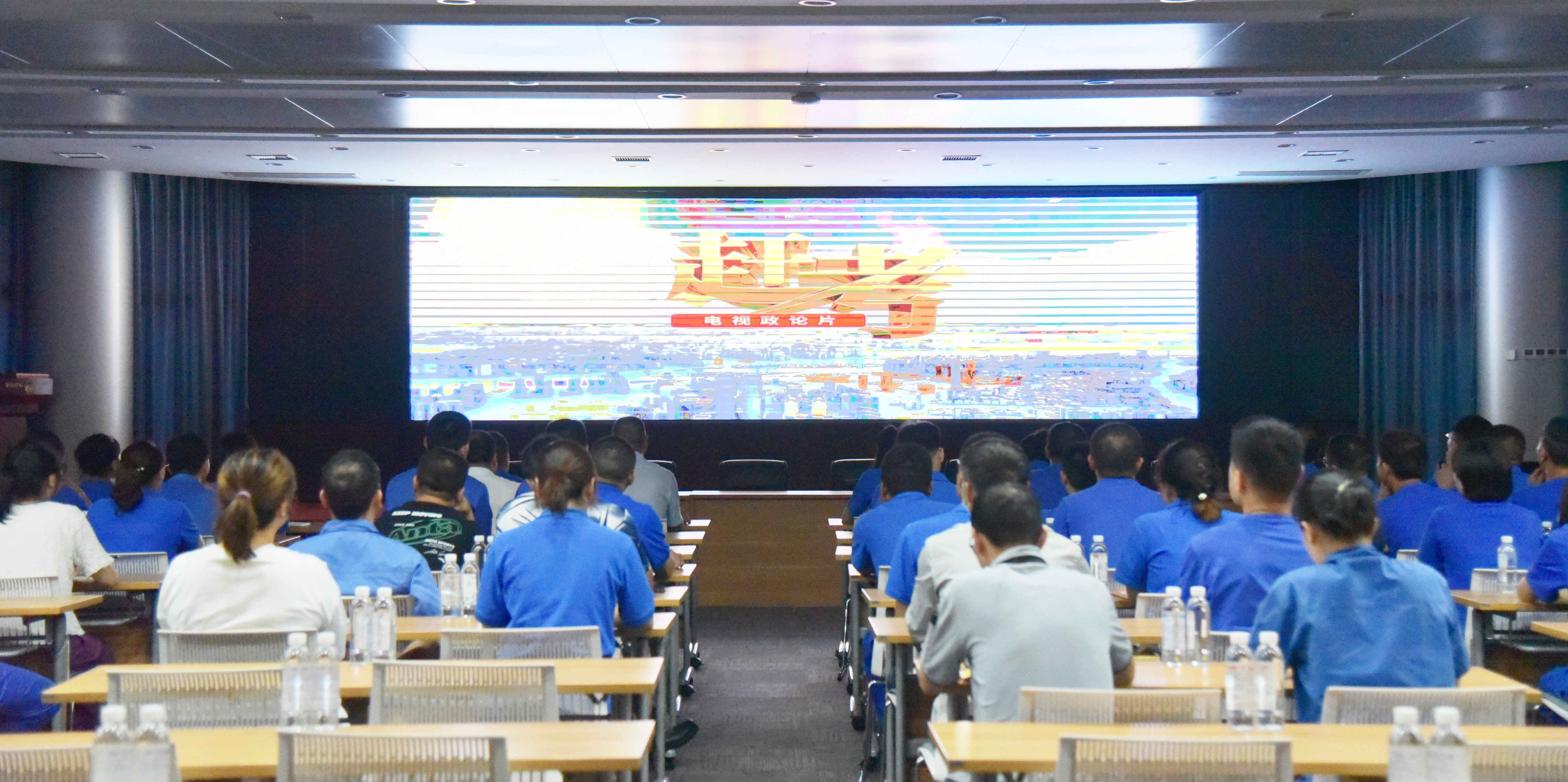 波胆app官方网站