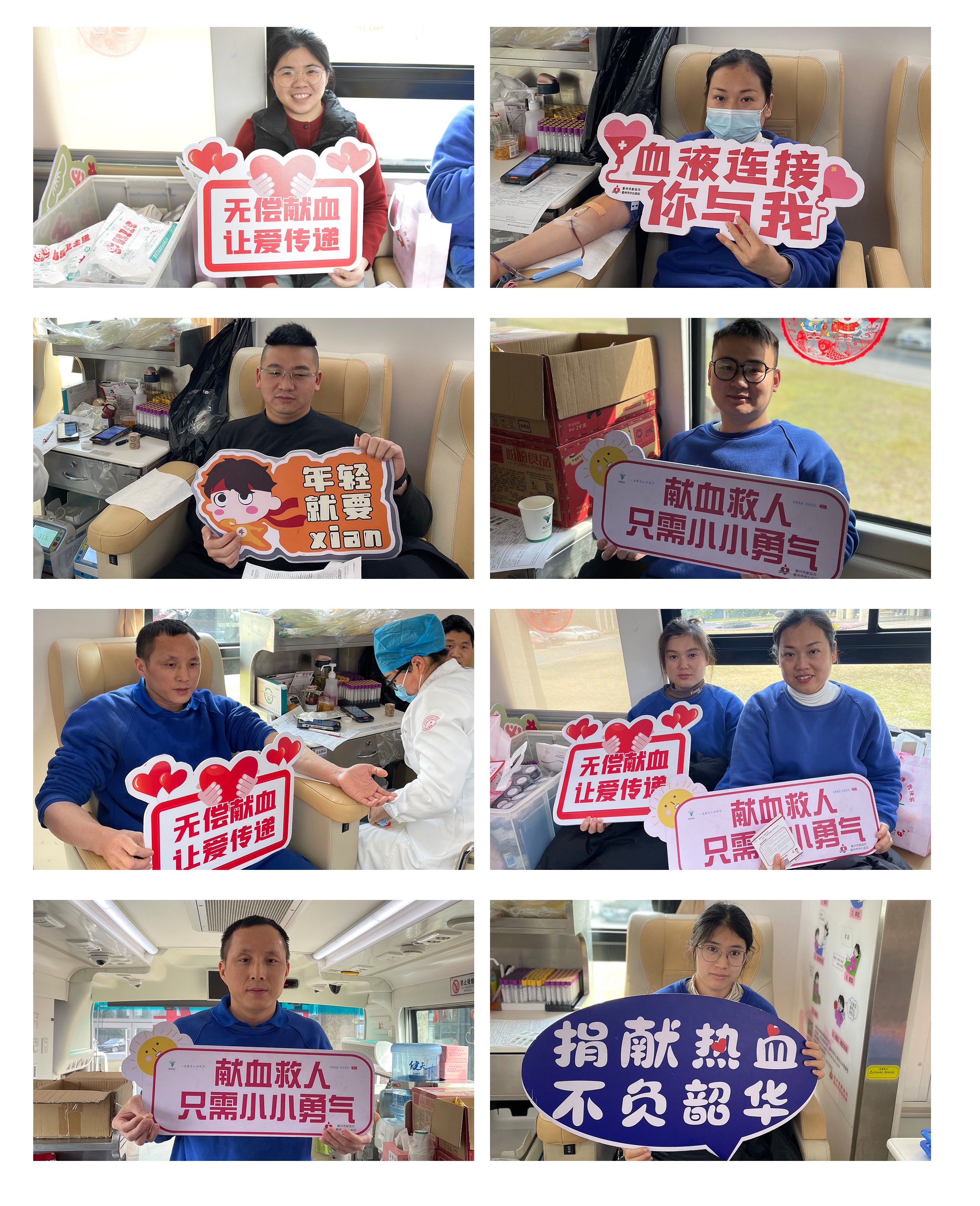波胆app官方网站