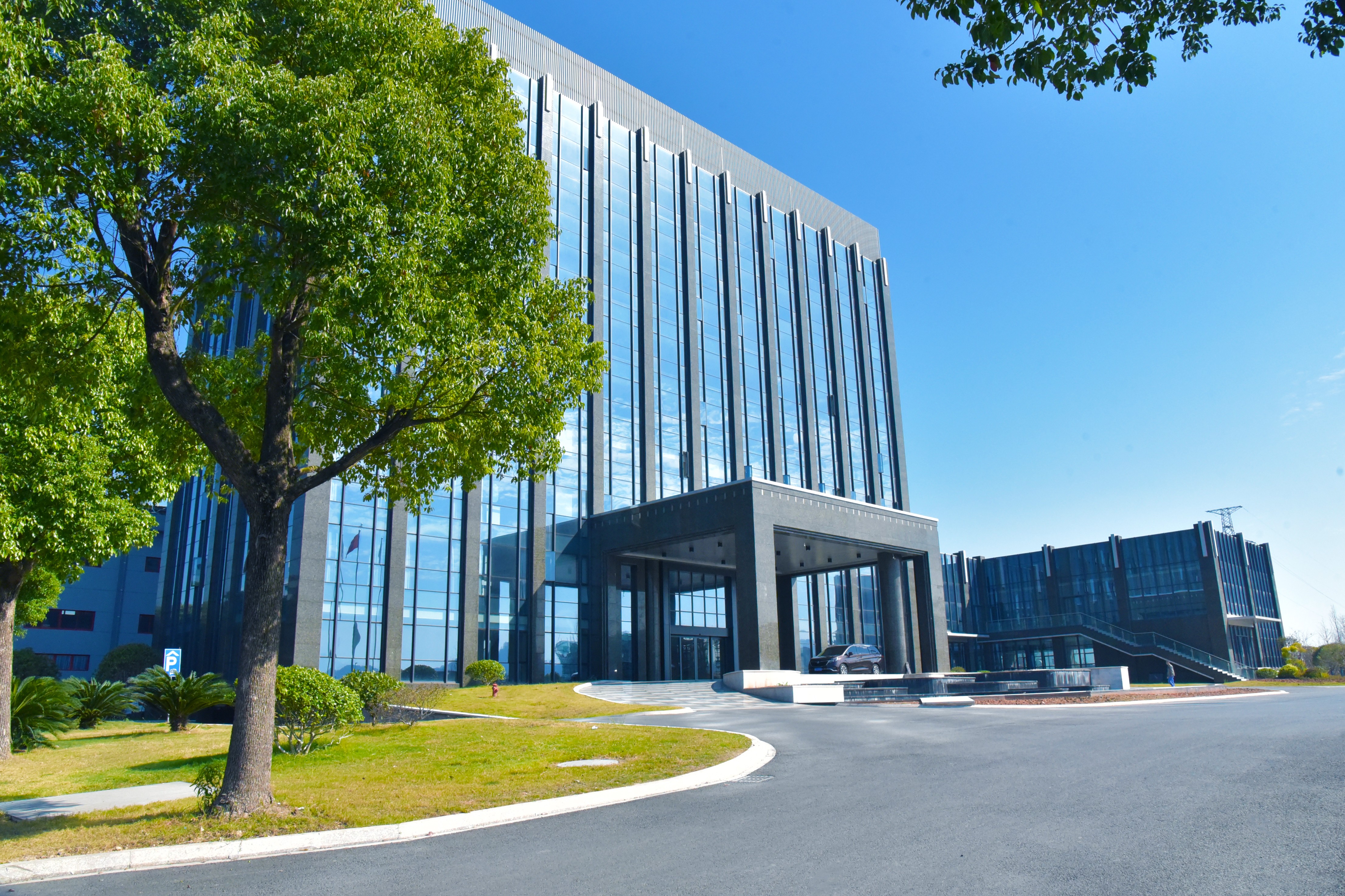 波胆app官方网站